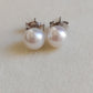 6.5mm Genuine freshwater round pearl Essential earrings studs