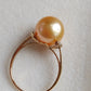 10.9mm Genuine golden south sea pearl 18k gold solitaire ring