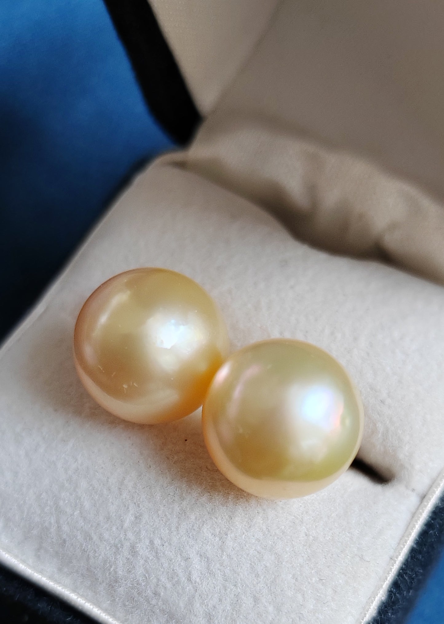 10k gold Essential earrings studs genuine golden south sea pearls 10.2mm