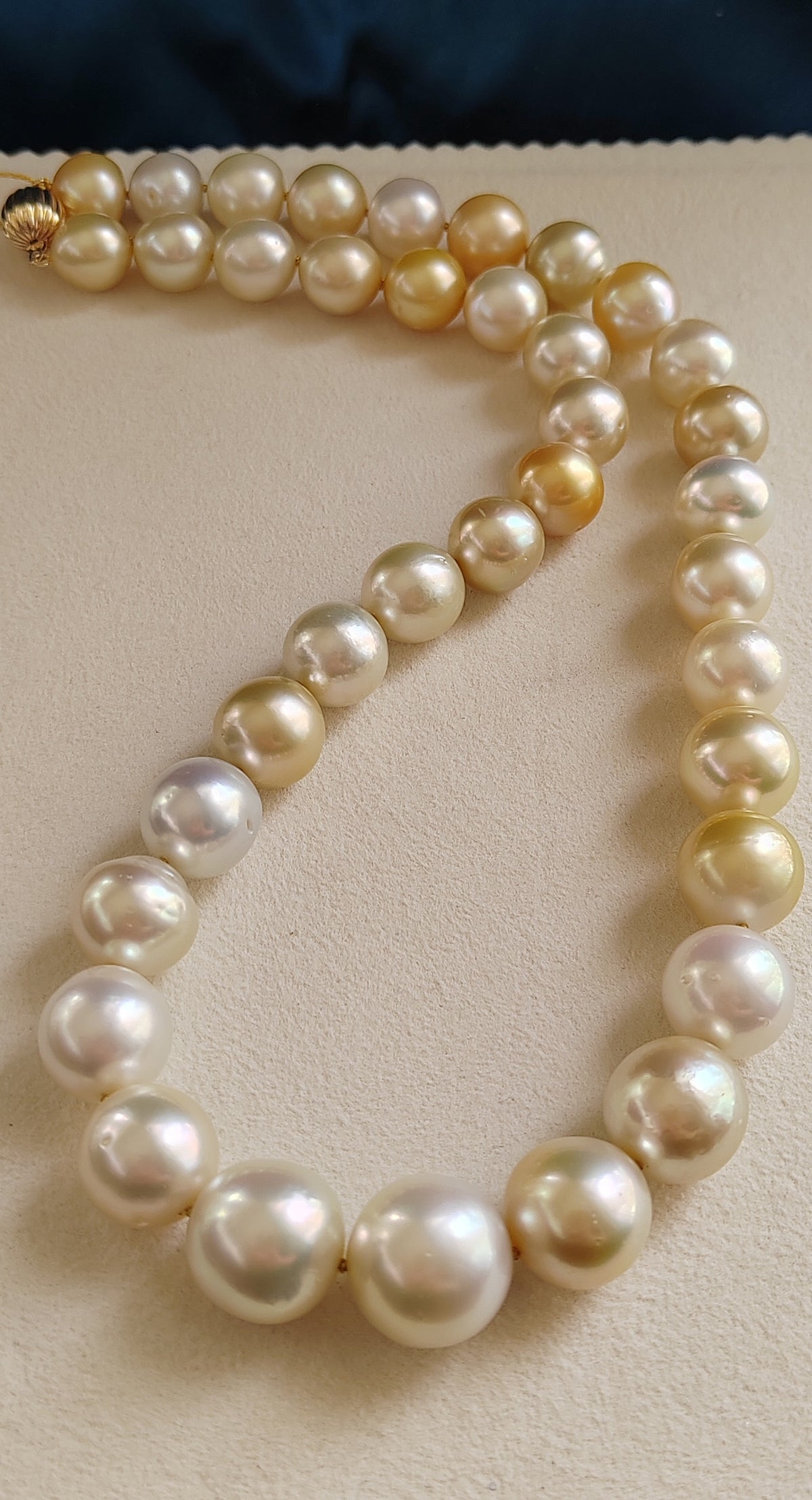 12-17mm Genuine South Sea Pearl classic necklace 55cm