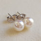 6-6.5mm Genuine Akoya pearls Essential earrings studs
