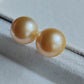 14k gold essential earrings genuine golden south sea pearls 10.5mm