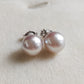 8mm Genuine Akoya pearls Essential earrings studs