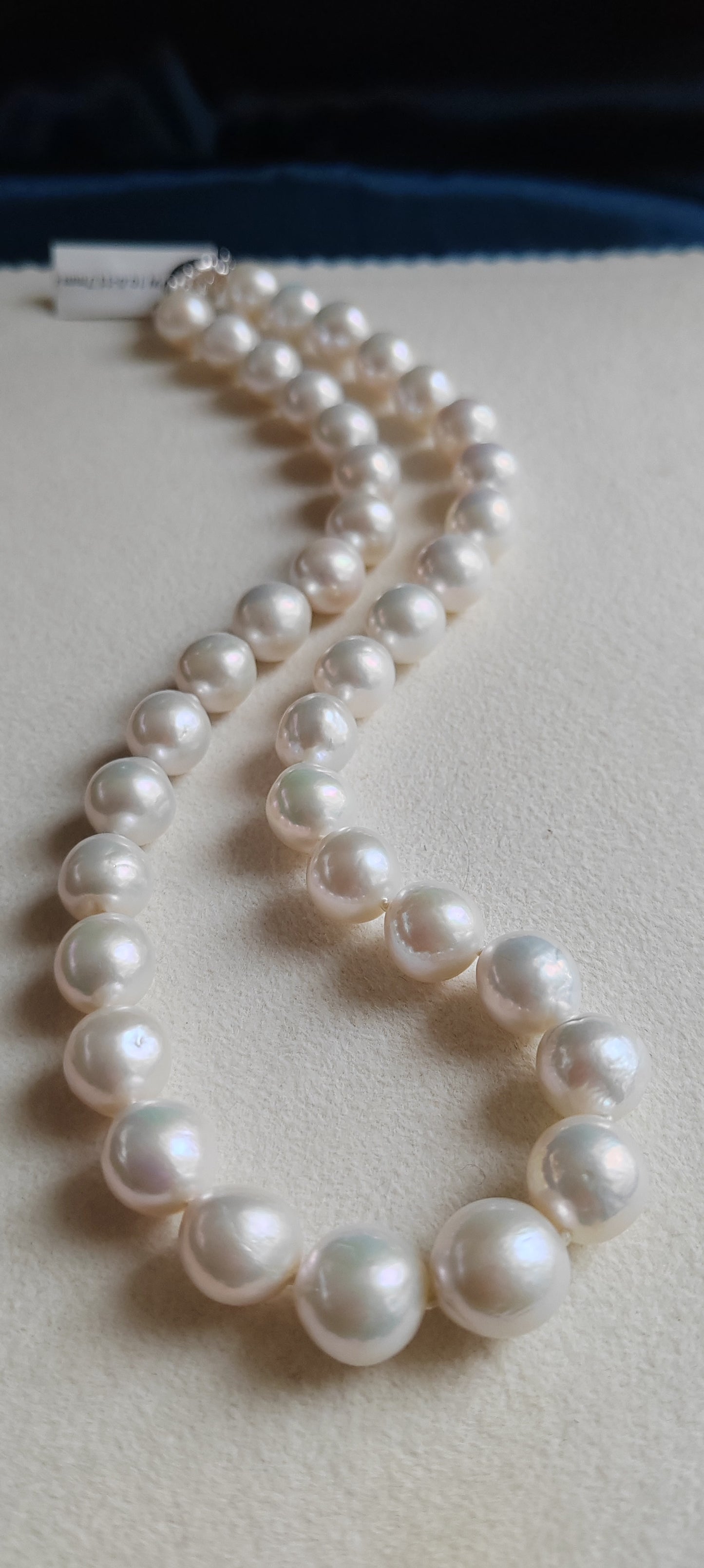 10-11.7mm Genuine freshwater pearls classic necklace silver