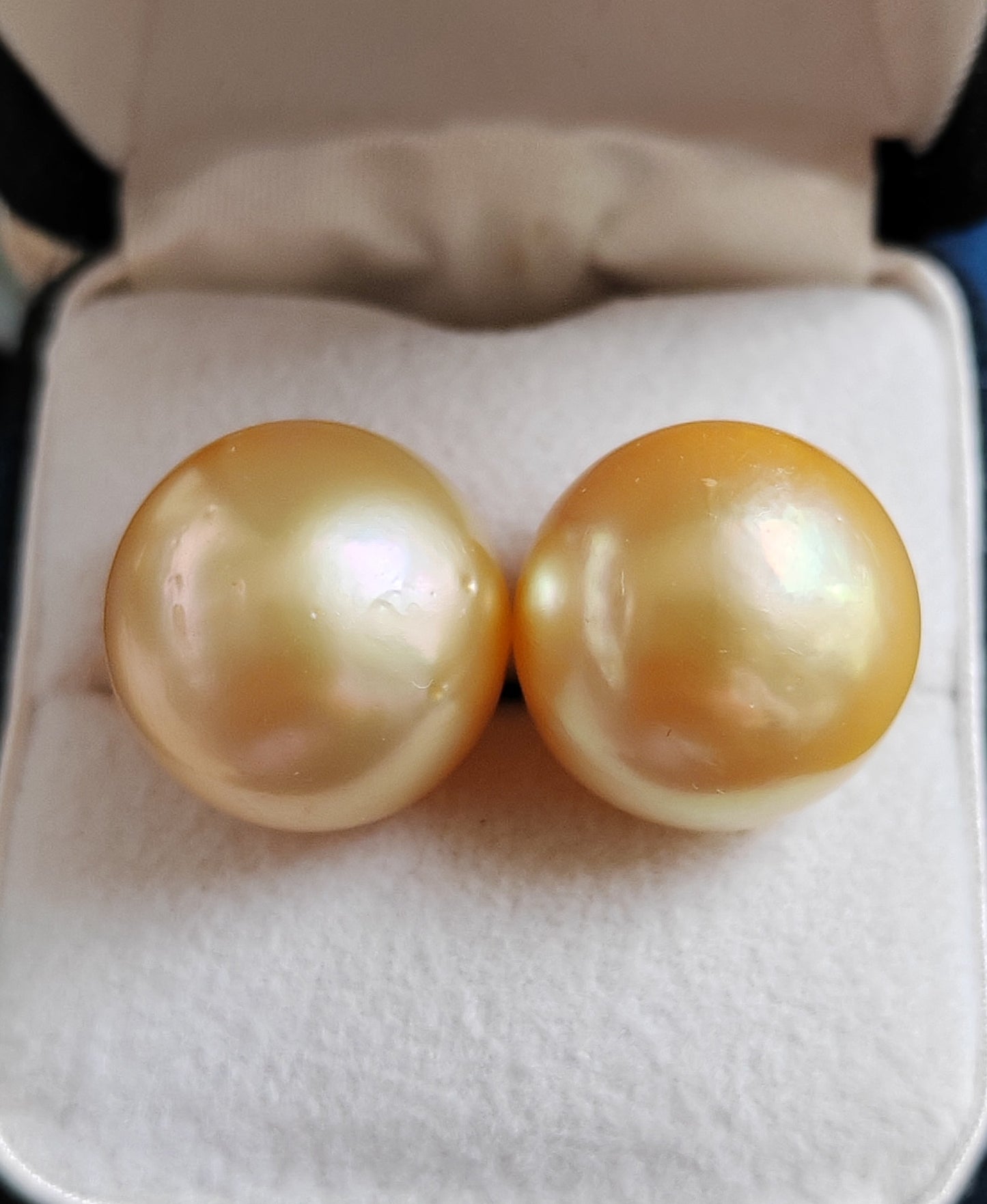 18k gold essential earrings studs genuine golden south sea pearls 12.8mm