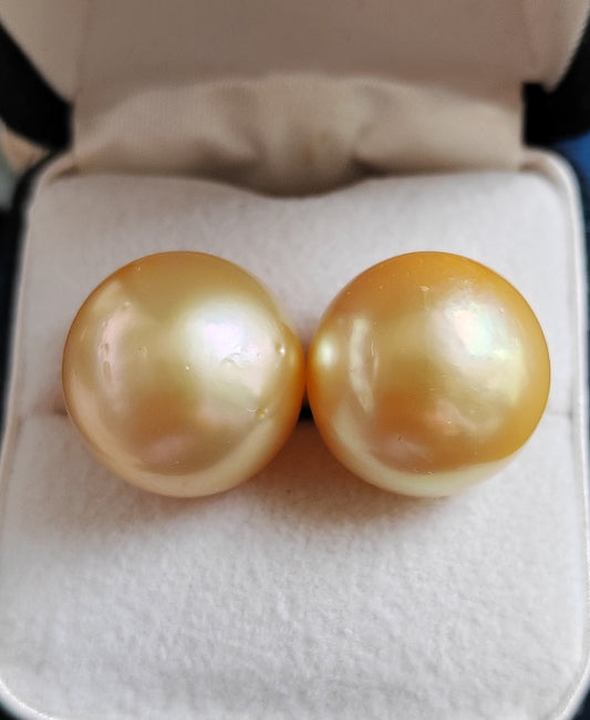 18k gold essential earrings studs genuine golden south sea pearls 12.8mm