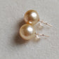 10mm Genuine golden south sea pearls Essential earrings studs 14k gold