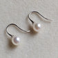 6.3mm Genuine Japanese akoya pearls French hooks earrings