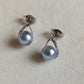6.1mm Genuine Japanese akoya pearls classic earrings silver