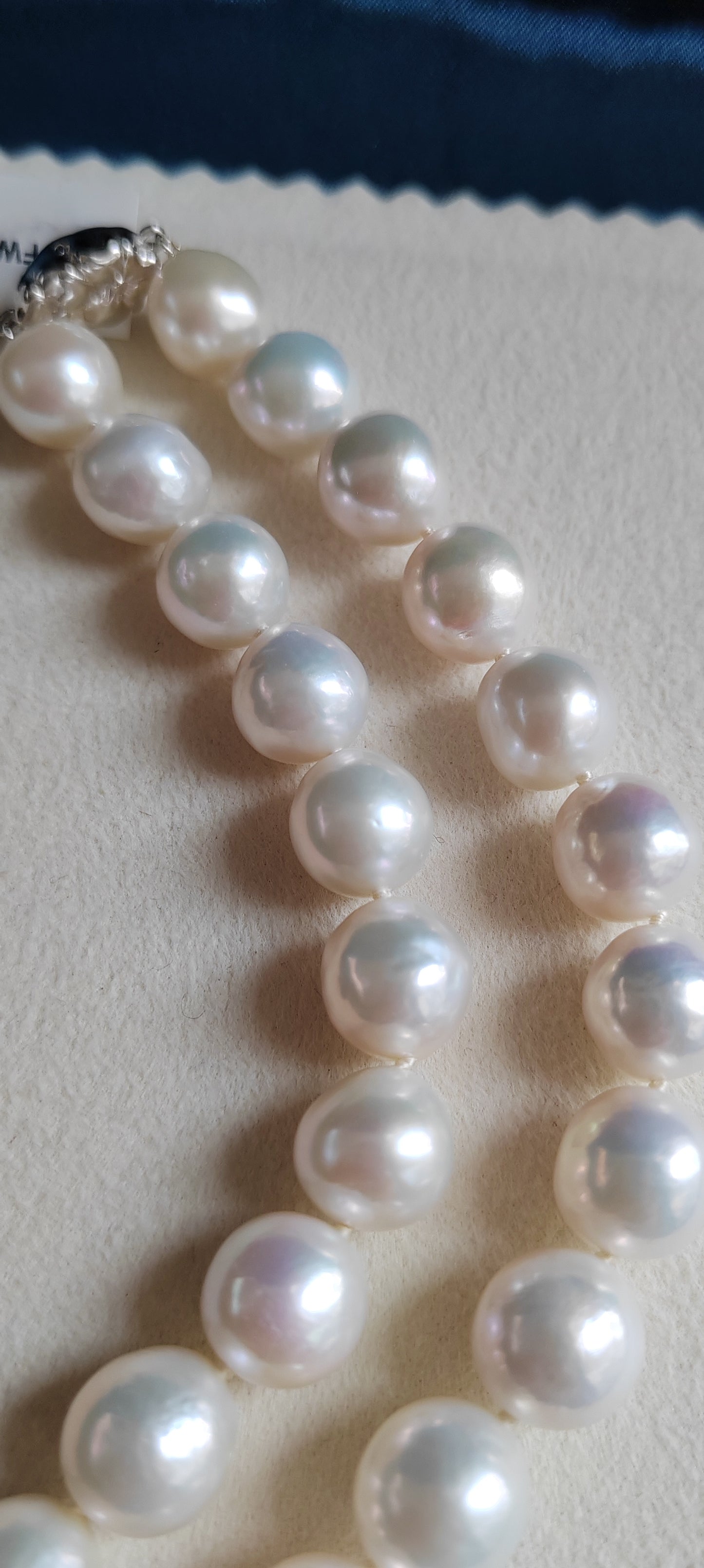 10-11.7mm Genuine freshwater pearls classic necklace silver