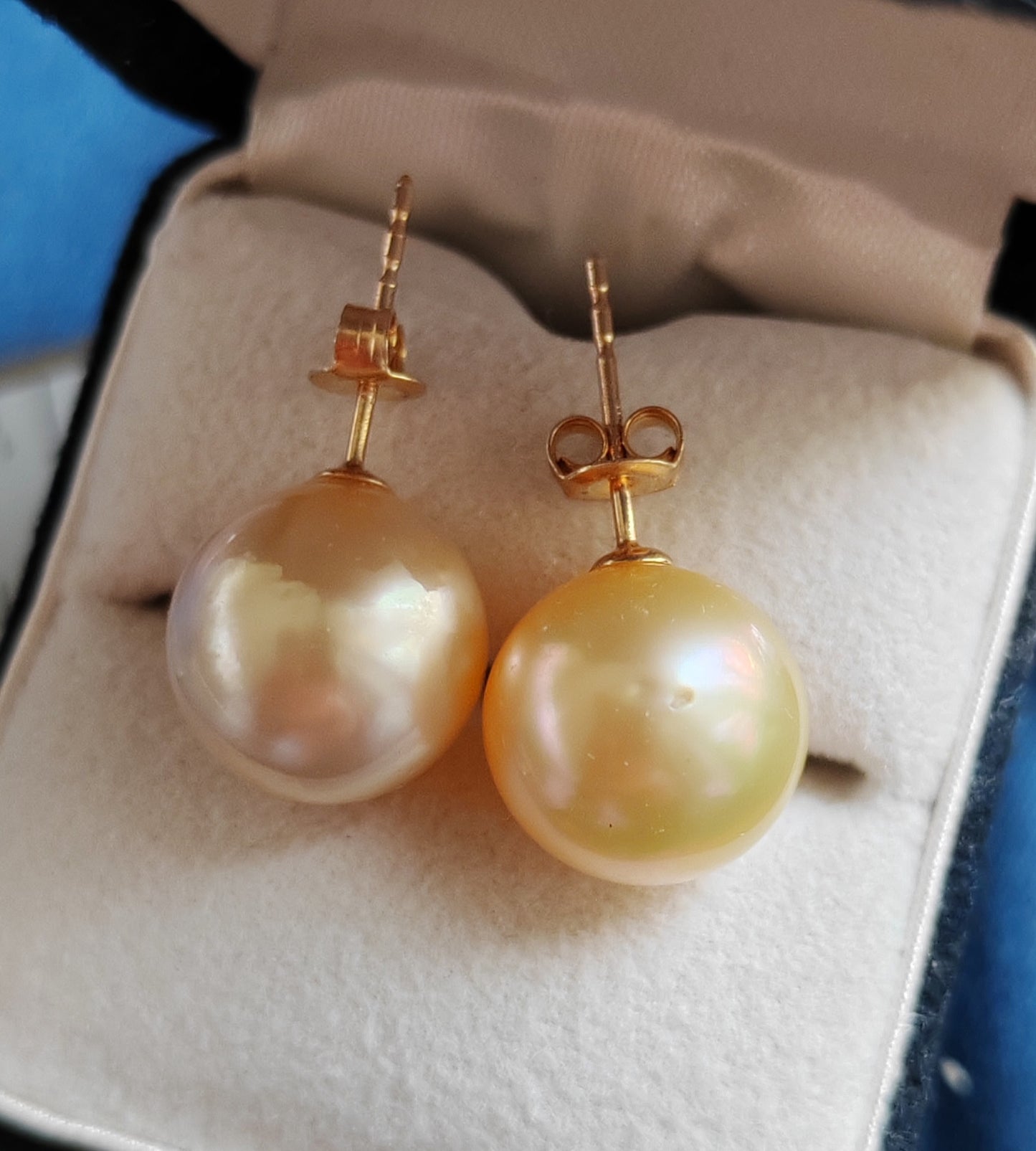 10k gold Essential earrings studs genuine golden south sea pearls 10.2mm