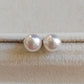 5.5-6mm Genuine freshwater pearls Essential earrings studs