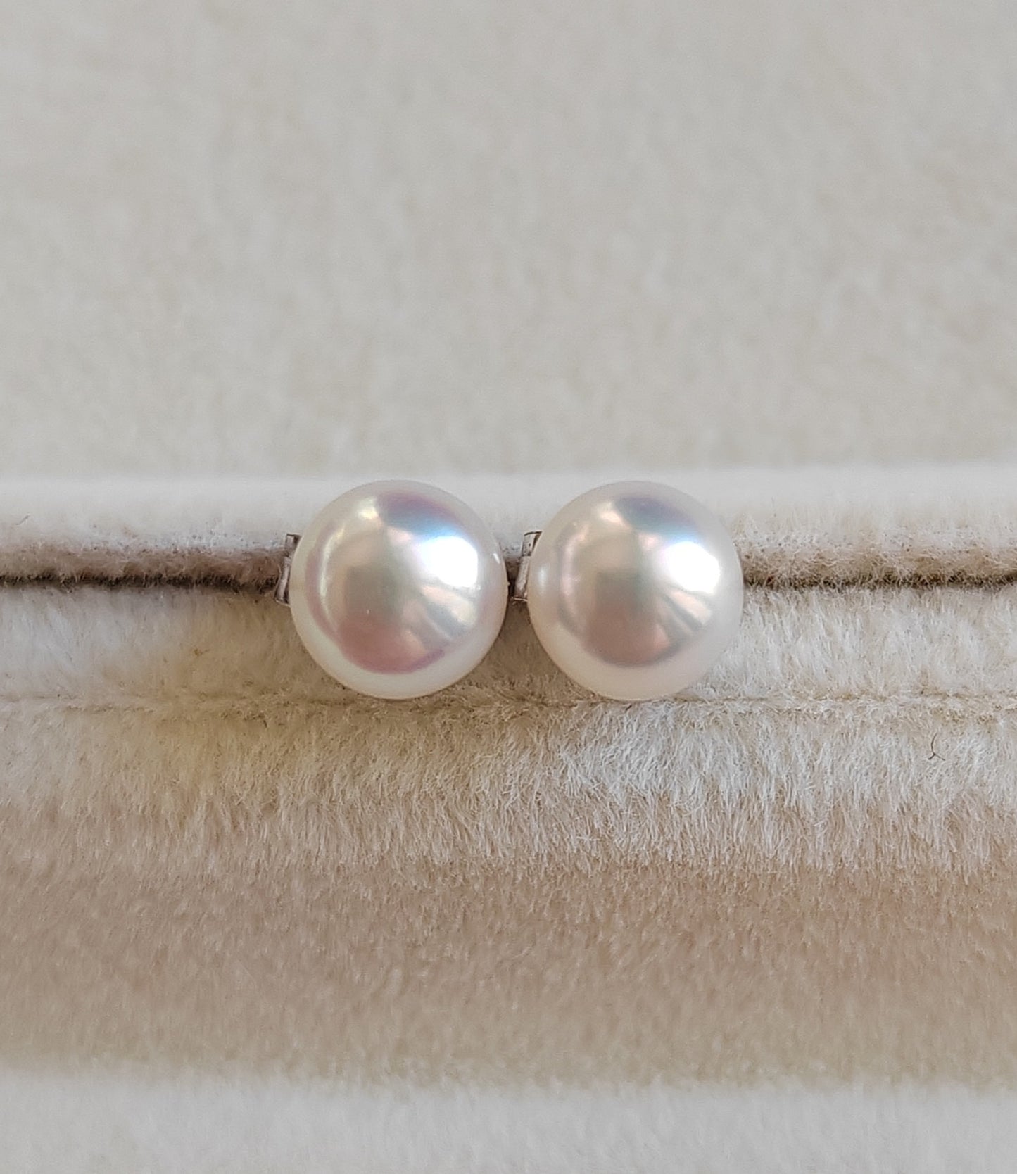 5.5-6mm Genuine freshwater pearls Essential earrings studs