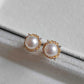 6.4mm Genuine akoya saltwater pearls earrings