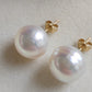 12.9mm Genuine Australian south sea white pearl classic earring studs