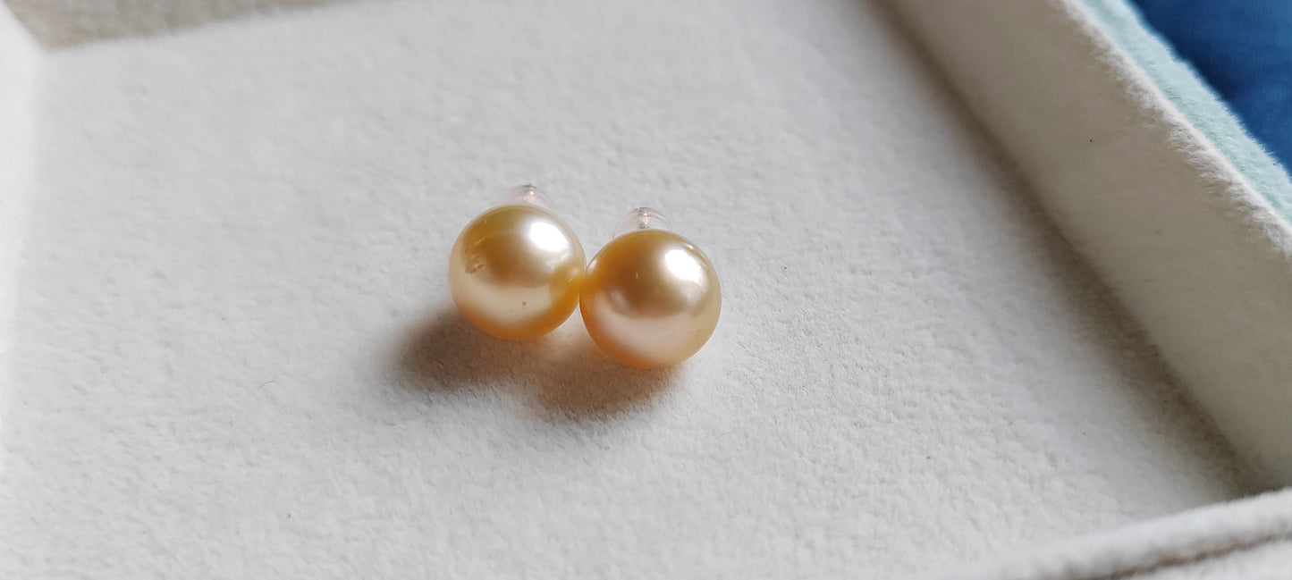10mm Genuine golden south sea pearls Essential earrings studs 14k gold