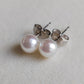5.5-6mm Genuine Akoya Saltwater pearls every day earrings studs