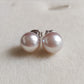 8mm Genuine Akoya pearls Essential earrings studs