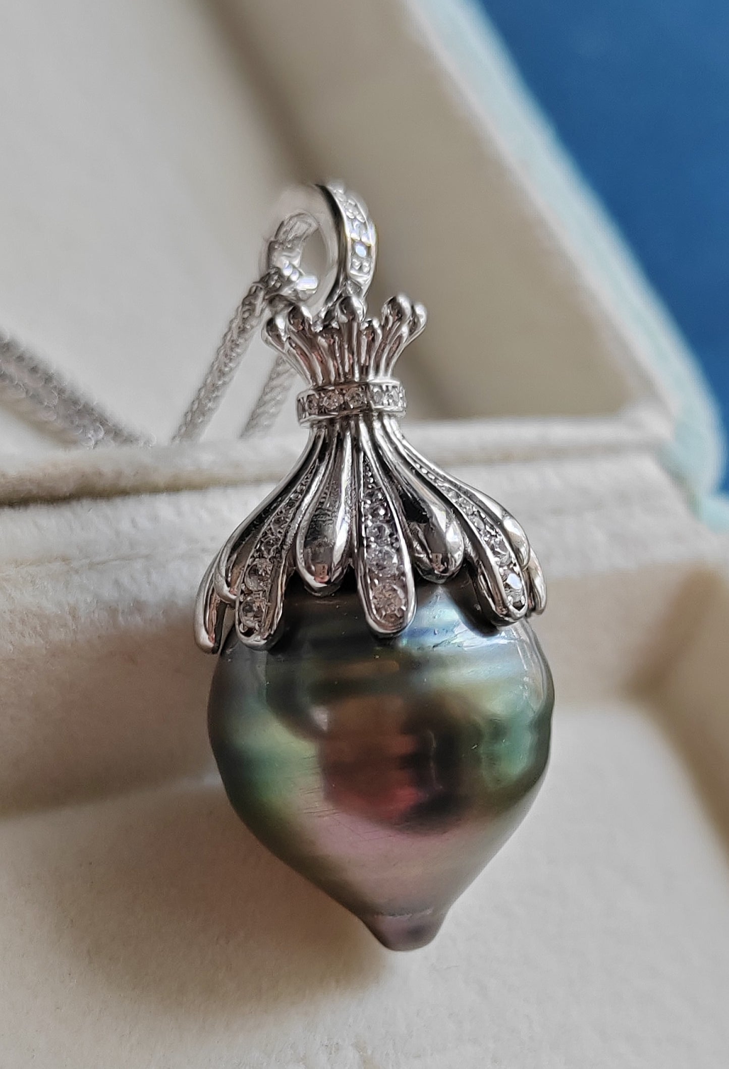 16.3x20mm Genuine tahitian sea pearl enhancer necklace silver