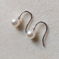 6.3mm Genuine Japanese akoya pearls French hooks earrings