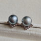 10.3mm Genuine tahitian sea pearls silver earrings