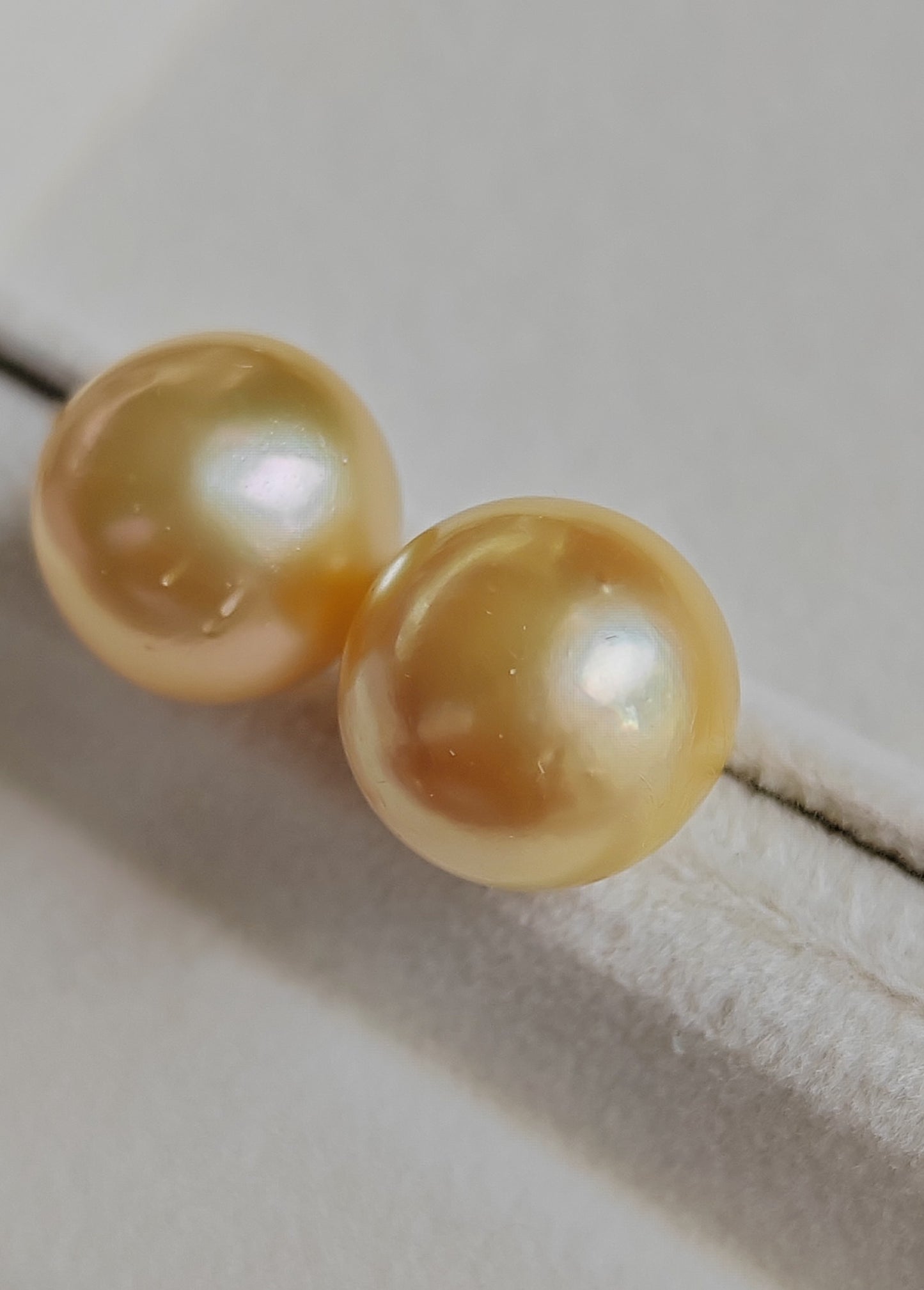 18k gold essential earrings studs genuine golden south sea pearls 12.8mm