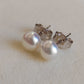 5.5-6mm Genuine freshwater pearls Essential earrings studs