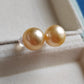 10mm Genuine golden south sea pearls Essential earrings studs 14k gold