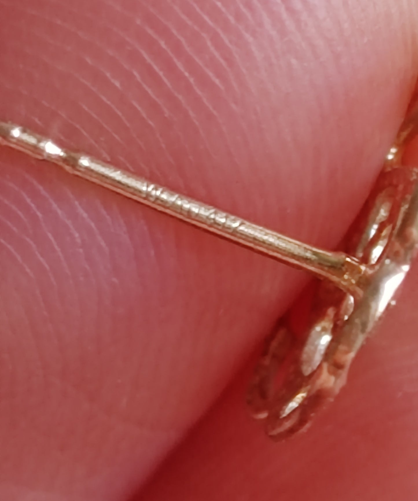 'Camellia' earrings 10k gold genuine golden south sea pearl 10.4mm Round