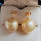 10k gold Essential earrings studs genuine golden south sea pearls 10.2mm