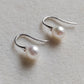 6.3mm Genuine Japanese akoya pearls French hooks earrings