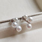 3.8-5.9mm Genuine freshwater pearls classic earrings sterling silver