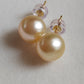 18k gold earring stud genuine golden south sea pearl 9mm