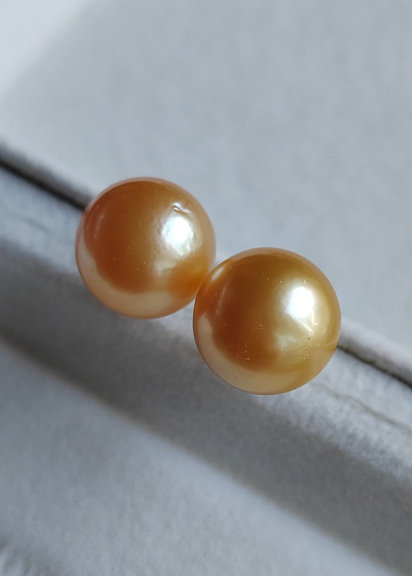 14k gold essential earrings genuine golden south sea pearls 11.5mm