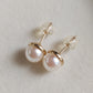 10k gold earrings genuine Japanese akoya pearls round 7mm