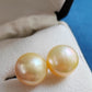 10k gold Essential earrings studs genuine golden south sea pearls 10.2mm