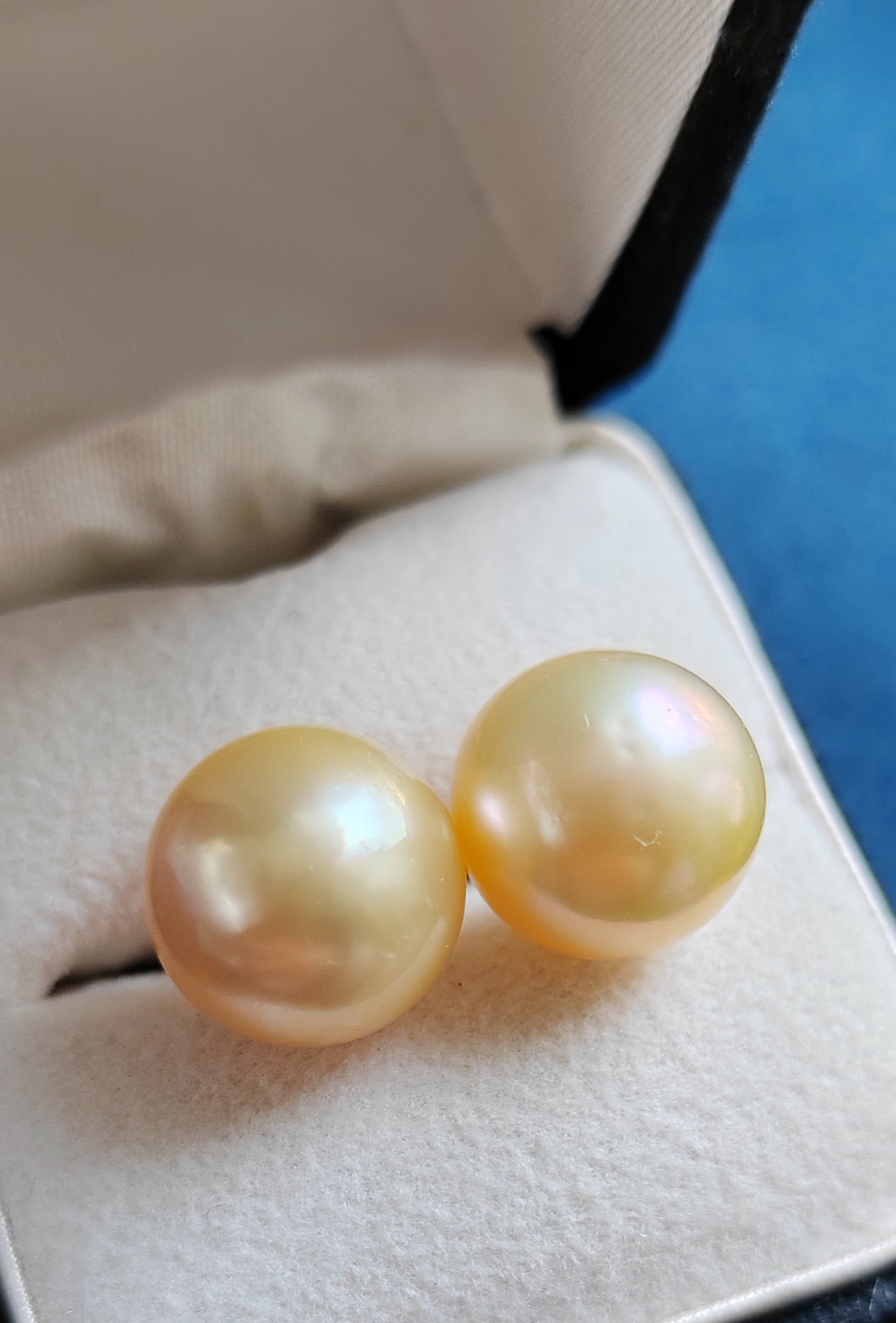 10k gold Essential earrings studs genuine golden south sea pearls 10.2mm