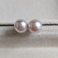 8mm Genuine Akoya pearls Essential earrings studs