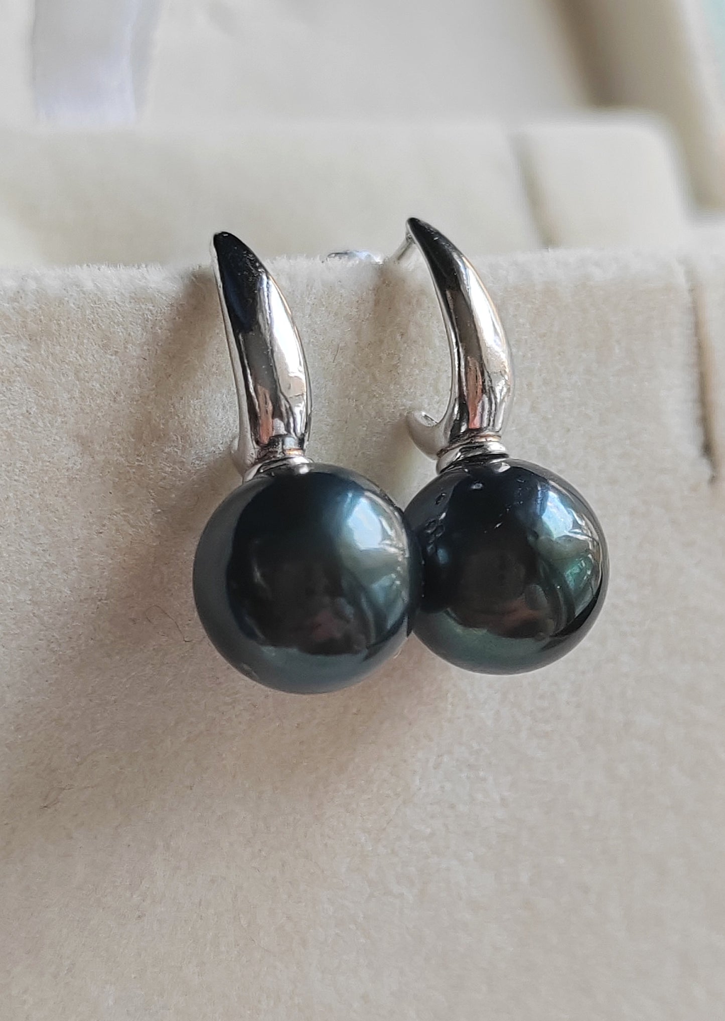 9.9mm Genuine tahitian south sea pearls round classic earrings sterling silver