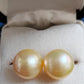 10k gold Essential earrings studs genuine golden south sea pearls 10.2mm