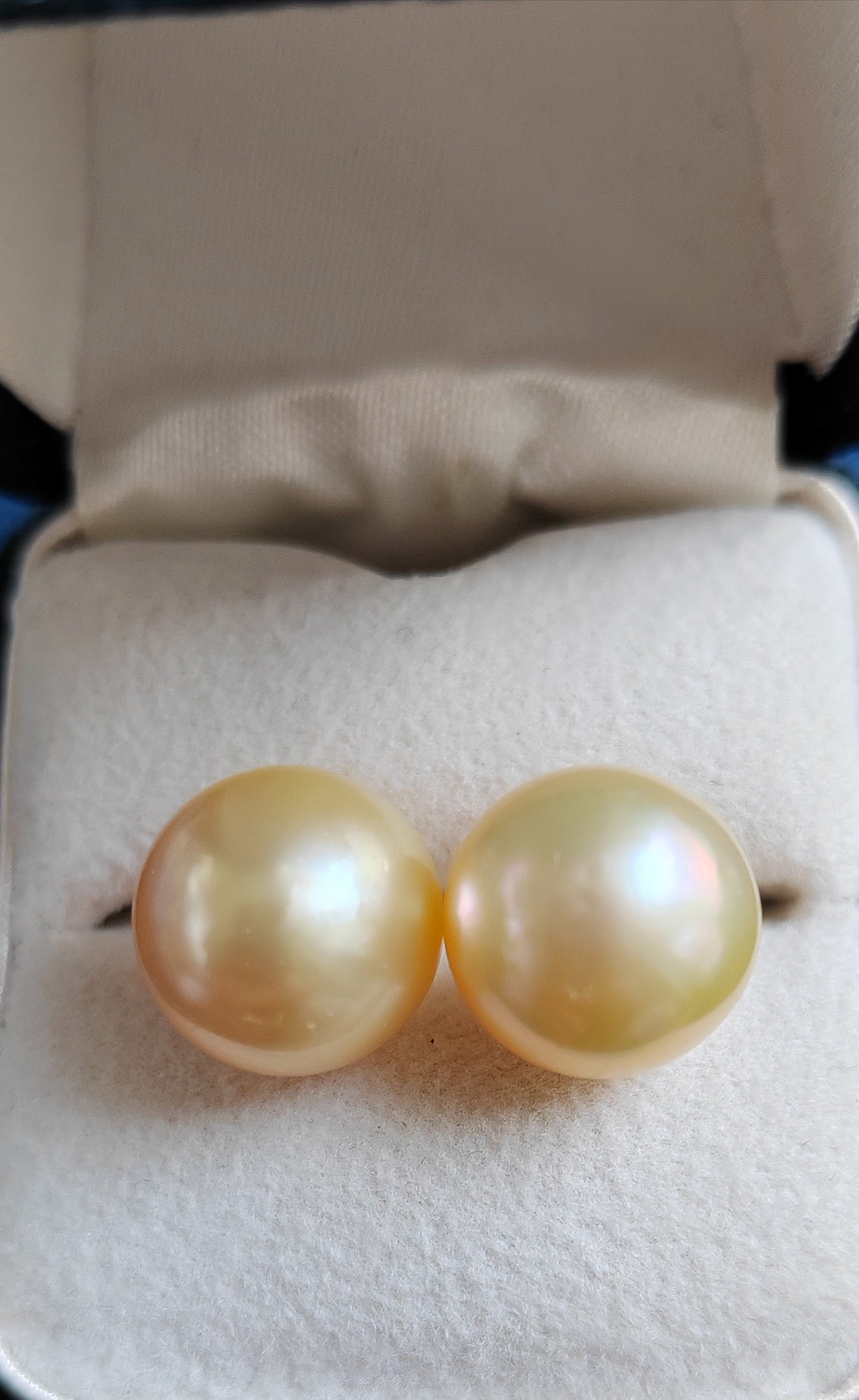 10k gold Essential earrings studs genuine golden south sea pearls 10.2mm