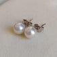 6.5mm Genuine freshwater round pearl Essential earrings studs
