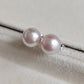 8mm Genuine Akoya pearls Essential earrings studs
