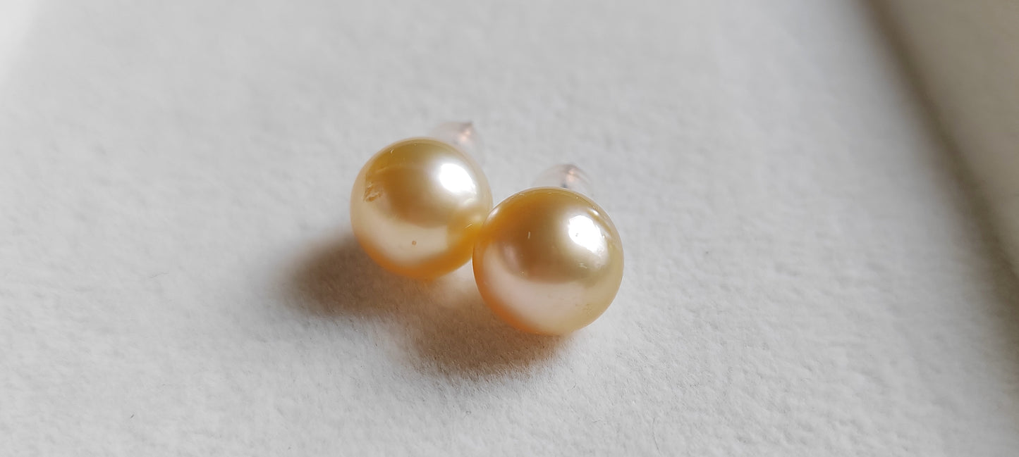 10mm Genuine golden south sea pearls Essential earrings studs 14k gold