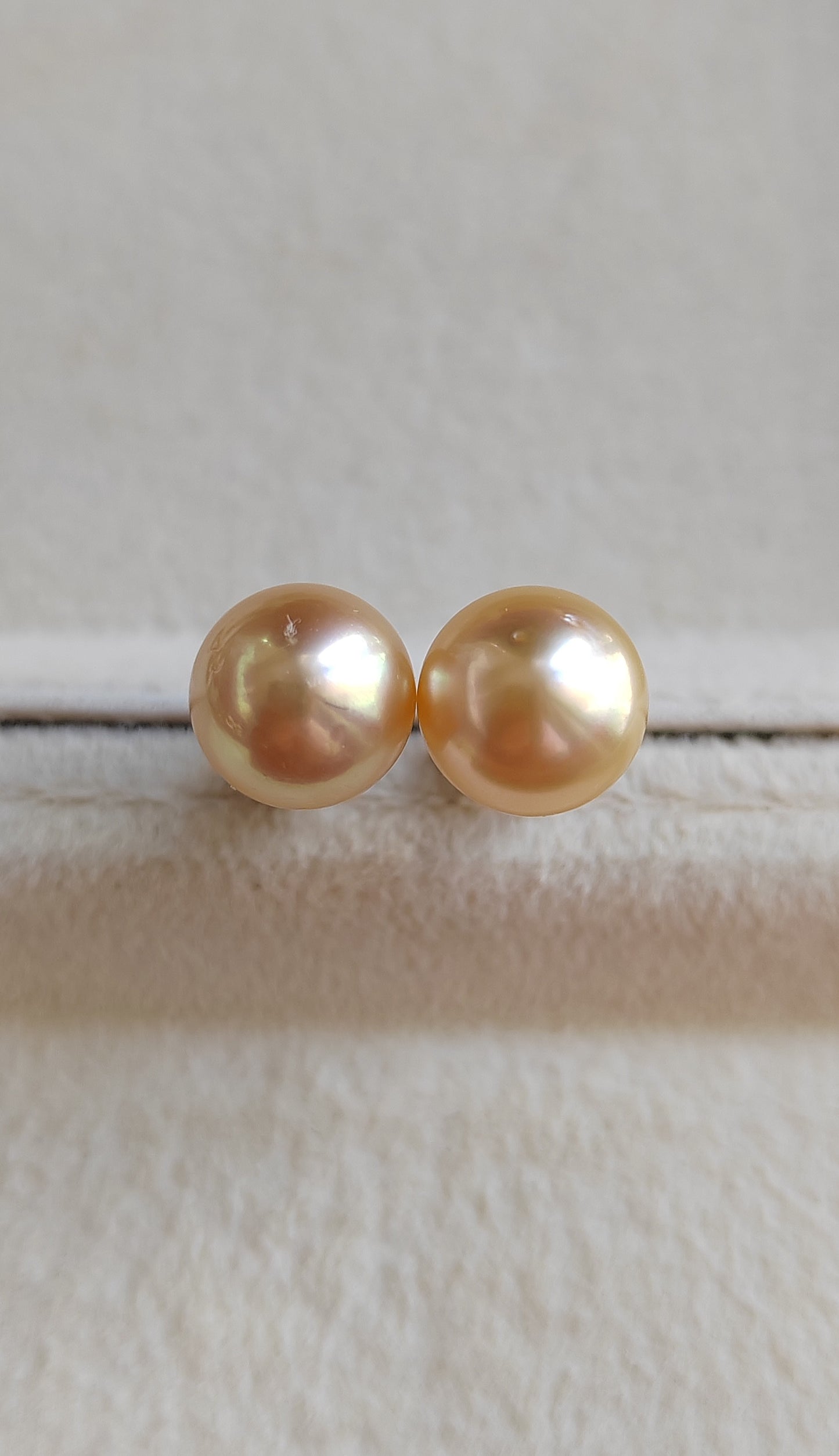 9.2mm Genuine golden south sea pearls Essential earrings studs