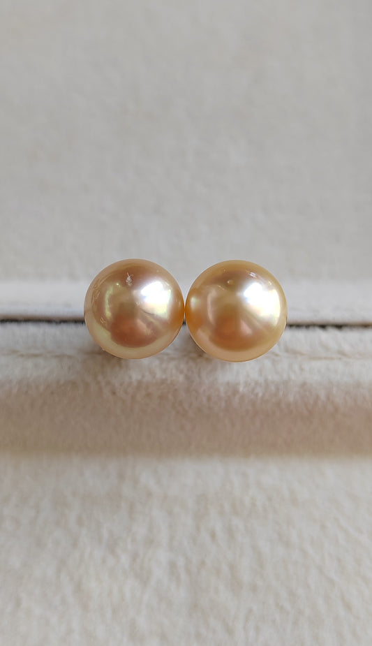 9.2mm Genuine golden south sea pearls Essential earrings studs