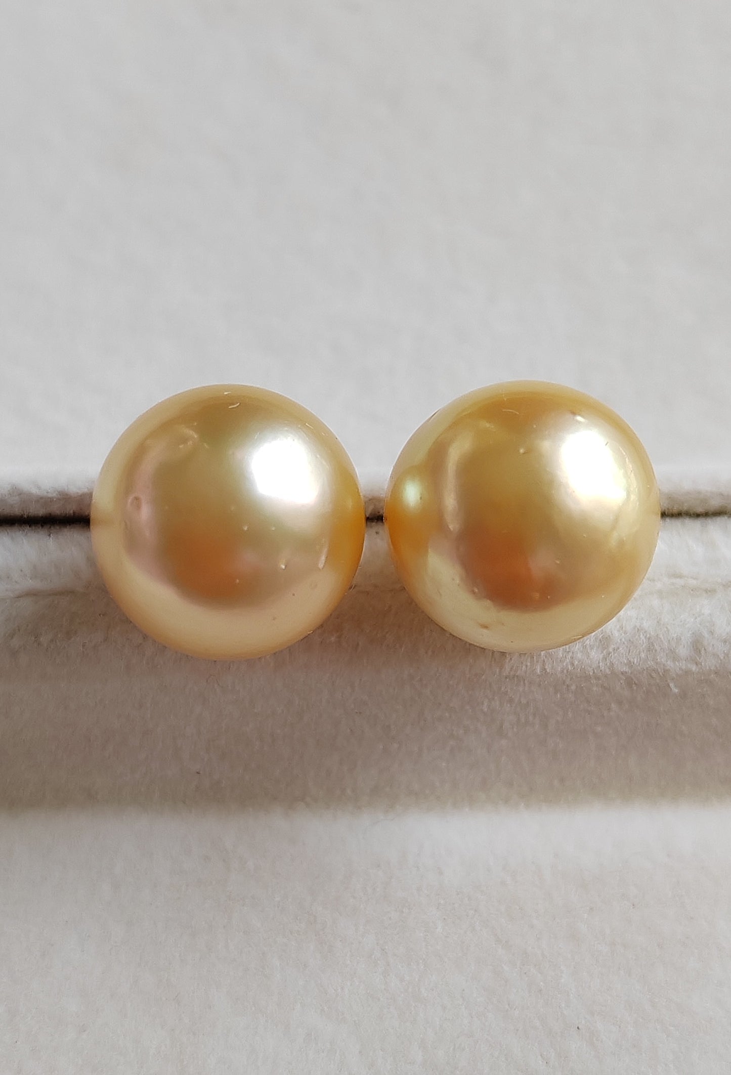 18k gold essential earrings studs genuine golden south sea pearls 12.8mm