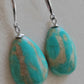 13x18mm Natural Morenci Turquoise French style earrings silver