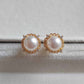 6.4mm Genuine akoya saltwater pearls earrings