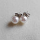 5.5-6mm Genuine Akoya Saltwater pearls every day earrings studs
